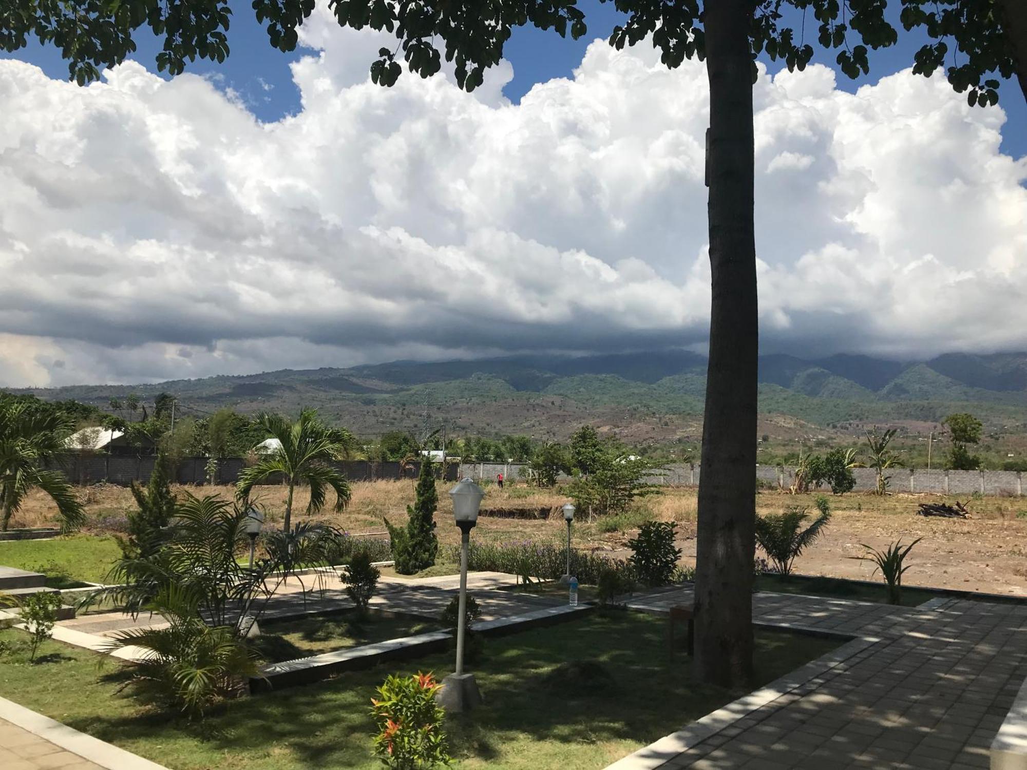 Pohon Purba Resort & Restaurant Labuhan Pandan Exterior foto